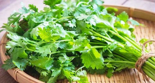 ఏపీలో కరోనా హాట్ స్పాట్ జిల్లాలివే
