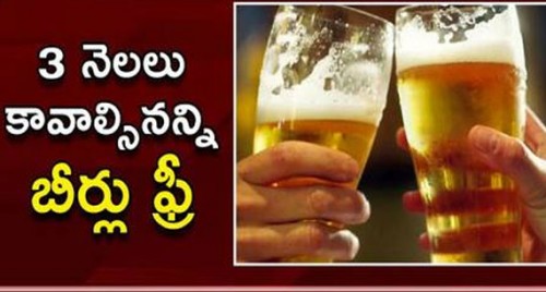3 నెలలు కావాల్సినన్ని బీర్లు ఫ్రీ..కానీ ఓ షరతు!
