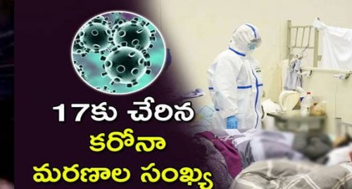 17కు చేరిన కరోనా మరణాల సంఖ్య
