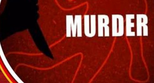 అత్త,మామలను చంపేసిన కోడలు...
