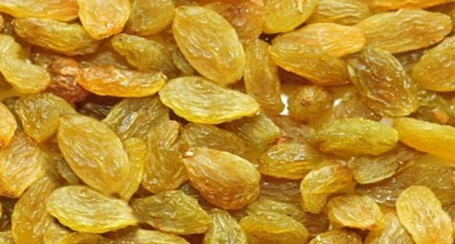 హైకోర్టులో నిమ్మగడ్డ రిప్లై పిటిషన్
