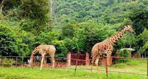 న‌వ‌య‌వ్వ‌న న‌గ‌రం వైజాగ్... !