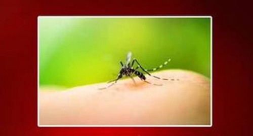 దోమలు కుట్టకుండా ఇలా చేస్తే డేంజర్!
