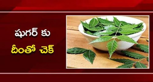 షుగర్ కు దీంతో చెక్..ఇలా చేయండి...!