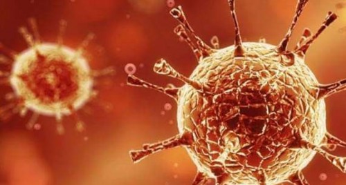 విజయనగరం జిల్లా కరోనా అప్ డేట్
