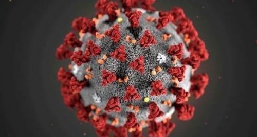 ఆ రెండు ఏపీ కేసులు ఈ ప్రాంతంలోనే..
