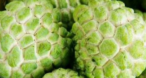 సీతాఫలం తినడం వల్ల ప్రయోజనాలు
