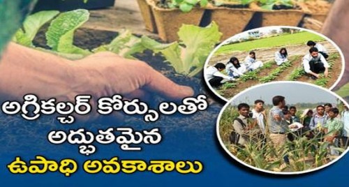 అగ్రికల్చర్ కోర్సులతో అద్భుతమైన ఉపాధి అవకాశాలు
