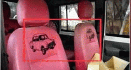 ఏపీలో టీఆర్‌ఎస్ ప్రచార రథాలు