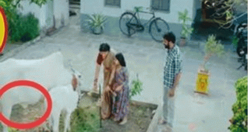 దుమ్ము దులుపుతున్నఎలక్షన్ యాడ్స్…