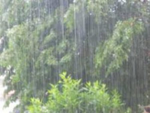 తూర్పుగోదావరి, విశాఖ, శ్రీకాకుళం, విజయనగరం జిల్లాలకు హై అలర్ట్