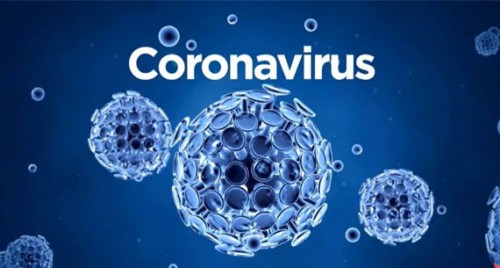 కృష్ణా జిల్లాలో కరోనా కలకలం..