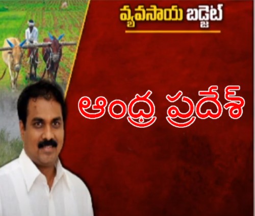 ఏపీ అసెంబ్లీ సమావేశాలు ప్రారంభం 