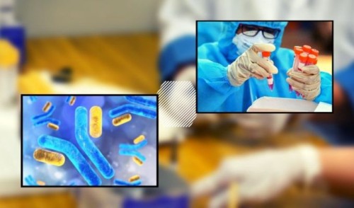 ఆంధ్రప్రదేశ్‌లో 70శాతం మందికి కొవిడ్ యాంటీబాడీలు