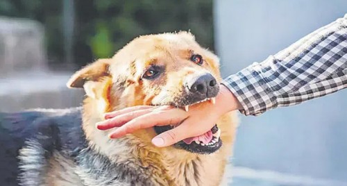 ప్రత్యేక హోదా పై వైసీపీ ఎంపీలు తక్షణం రాజీనామా చేయాలి