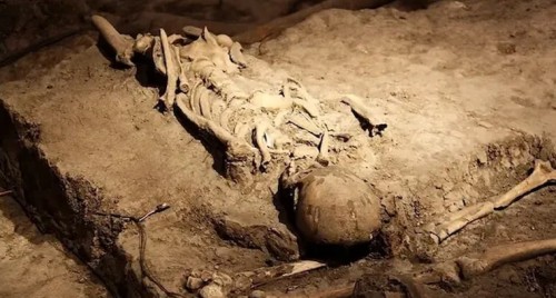 విజయవాడలో మైనర్ బాలిక బలవన్మరణం బాధాకరం