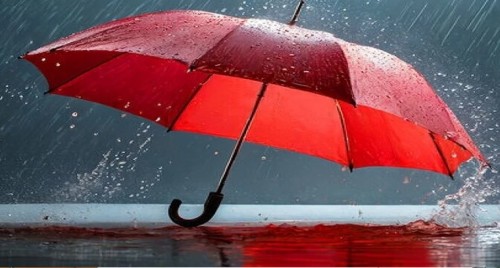 విజయవాడలో దొంగల హల్‌చల్..!!