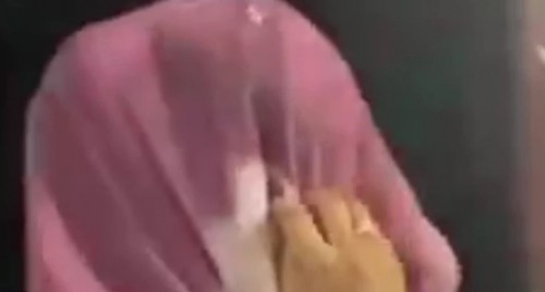 జగన్ అరాచక పాలన లో ఎవరికి భద్రత లేదు