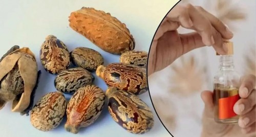 టీడీపీ ప్రభుత్వ నిర్ణయాలను జగన్‌ కక్షతో రద్దు చేస్తున్నాడు: కొల్లు రవీంద్ర