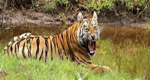 చెరువులో పడి ఇద్దరి బాలురు మృతి