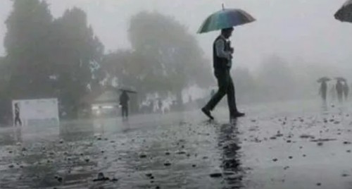 నెల్లూరు జిల్లా రెండు ముక్కలు