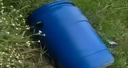 పెంపుడు కుక్కకి కాంస్య విగ్రహం