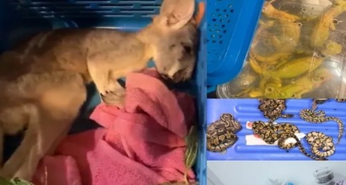 టీడీపీలో చేరిన వైసీపీ కార్యకర్తలు