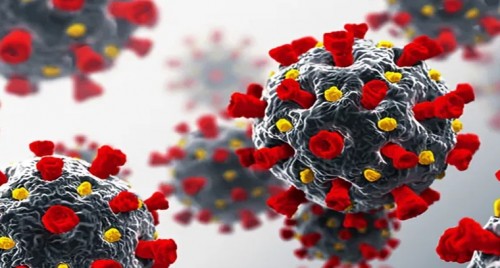 కృష్ణా జిల్లా రెండో భాగానికి వంగవీటి రంగ పేరుపెట్టాలి