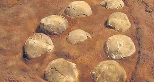 సీఎం జగన్ మహిళ పక్షపాతి: తానేటి వనిత