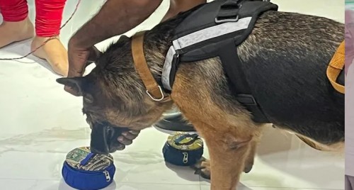 జన్ ధన్ ఖాతాదారులకు శుభవార్త
