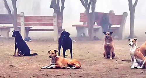 మంత్రి అనిల్ కు వడ్డీతో సహా చెల్లిస్తాం