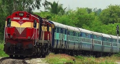 ఒకే కాన్పులో ముగ్గురు జననం..