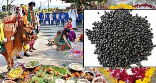 ఏపీ ఎన్జీవో భవన్‌ నుంచి బీఆర్‌టీఎస్ రోడ్డు వైపు భారీ ర్యాలీ