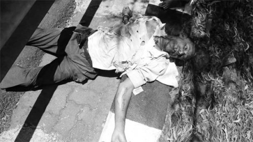 తిరుమల మొదటి ఘాట్‌ రోడ్డులో ఘోర ప్రమాదం