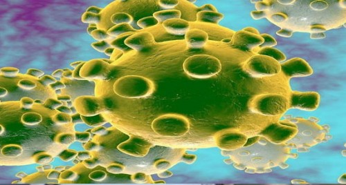 ఆంధ్రప్రదేశ్ లో 192కి చేరిన కరోనా పాజిటివ్ కేసులు... 
