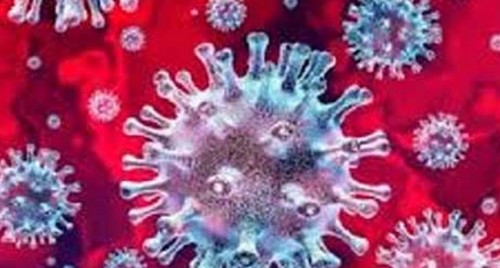 గుంటూరులో కరోనా కల్లోలం..
