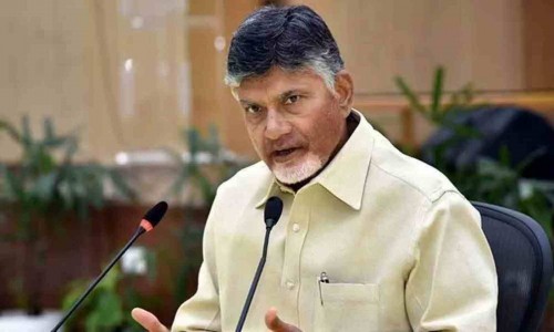స్థానిక ఎన్నికల్లో వైసీపీ అక్రమాలు : చంద్రబాబు నాయుడు