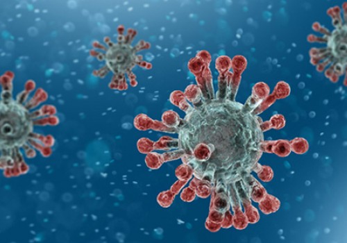 ఏపీలో కొత్తగా 553 కరోనా కేసులు