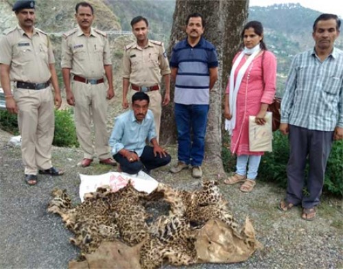 రెండు చిరుత పులుల చర్మాలు స్వాధీనం