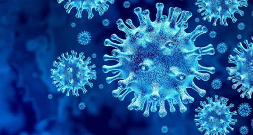 నెల్లూరు జిల్లాలో కరోనా కలవరం