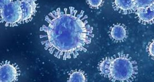 ఏపీలో కొత్తగా 48 కరోనా కేసులు
