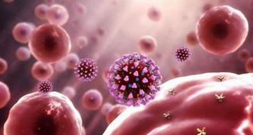 బెజవాడ కనక దుర్గమ్మ గుడిలో కరోనా కలకలం