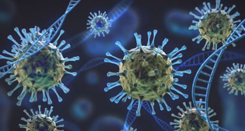 నూజివీడు పిజి సెంటర్ లో కరోనా కలకలం