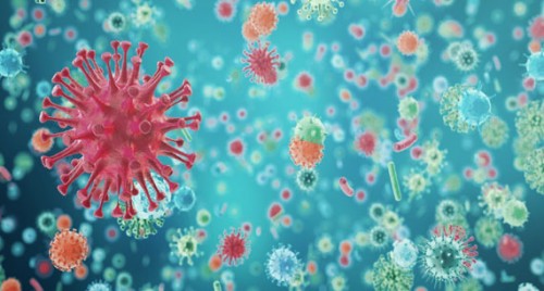 ఏపీలో కొత్తగా 809 కరోనా కేసులు
