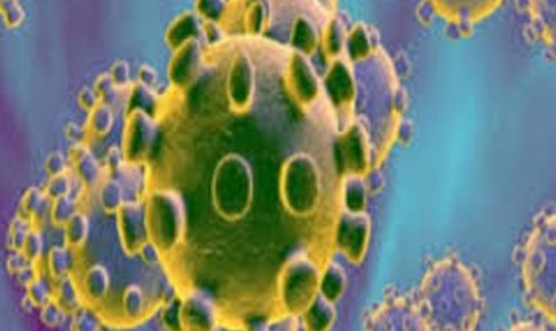 ఏపీలో రెడ్ జోన్ లో ఉన్న మండలాలివే
