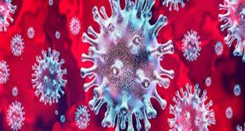 ఏపీలో ఆ రెండు జిల్లాలు సేఫ్