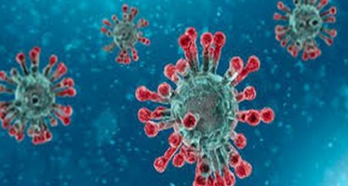 ఏపీలో రికార్డు కరోనా కేసులు, మరణాలు