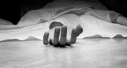 కృష్ణా జిల్లాలో పెను విషాదం