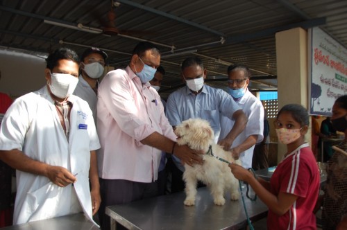  ప్ర‌పంచ జునోసిస్ దినోత్స‌వం రోజున న‌గ‌రంలో వంద‌ల సంఖ్య‌లో శున‌కాల‌కు టీకాలు