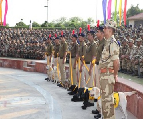 తొలిసారిగా ఆర్మీ శునకాలకు పదవీ విరమణ సత్కారం